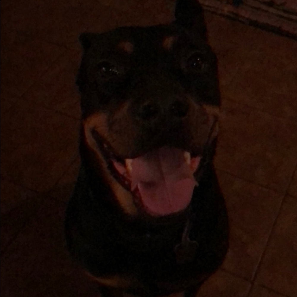 Meet your Posher, Sherrie